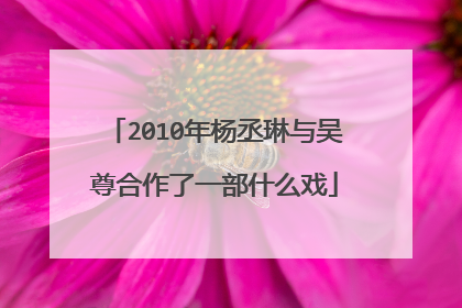 2010年杨丞琳与吴尊合作了一部什么戏