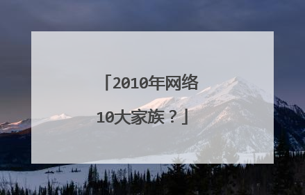 2010年网络10大家族？