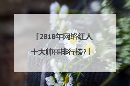 2010年网络红人十大帅哥排行榜?