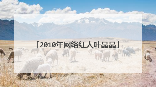 2010年网络红人叶晶晶