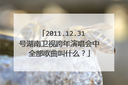 2011.12.31号湖南卫视跨年演唱会中全部歌曲叫什么？
