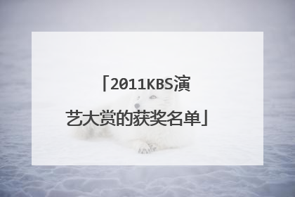 2011KBS演艺大赏的获奖名单