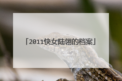 2011快女陆翎的档案