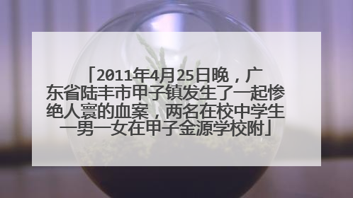 2011年4月25日晚，广东省陆丰市甲子镇发生了一起惨绝人寰的血案，两名在校中学生一男一女在甲子金源学校附