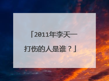 2011年李天一打伤的人是谁?