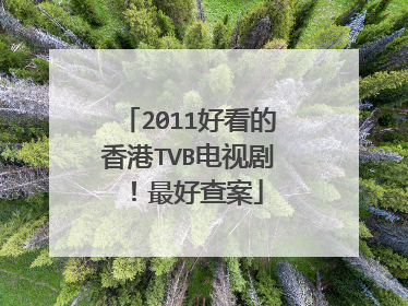 2011好看的香港TVB电视剧！最好查案