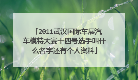 2011武汉国际车展汽车模特大赛十四号选手叫什么名字还有个人资料