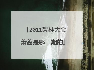 2011舞林大会萧蔷是哪一期的