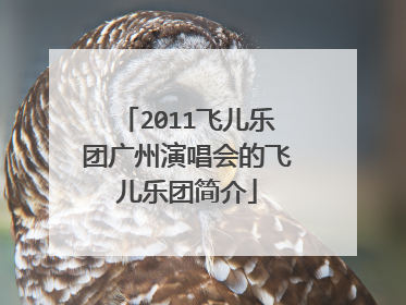 2011飞儿乐团广州演唱会的飞儿乐团简介
