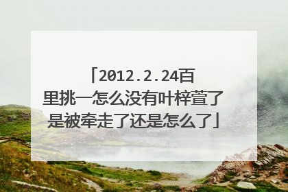 2012.2.24百里挑一怎么没有叶梓萱了是被牵走了还是怎么了