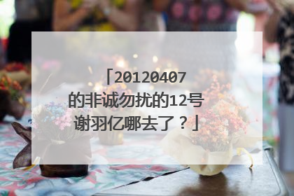20120407的非诚勿扰的12号谢羽亿哪去了？