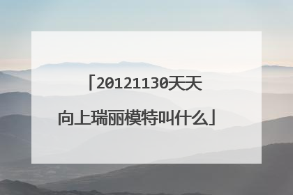 20121130天天向上瑞丽模特叫什么