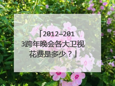 2012—2013跨年晚会各大卫视花费是多少？