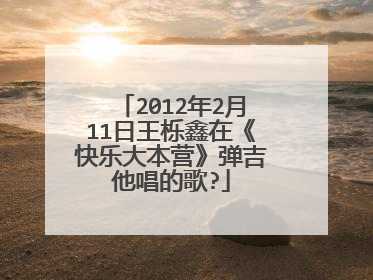 2012年2月11日王栎鑫在《快乐大本营》弹吉他唱的歌?