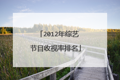 2012年综艺节目收视率排名