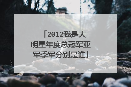2012我是大明星年度总冠军亚军季军分别是谁