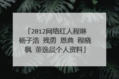2012网络红人程琳 杨子浩 残勇 恩典 程晓枫 董逸晨个人资料