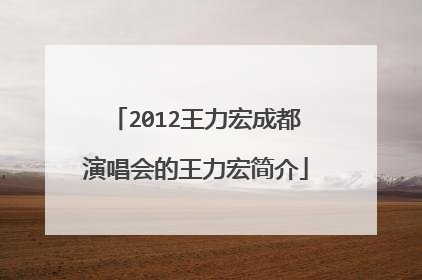 2012王力宏成都演唱会的王力宏简介