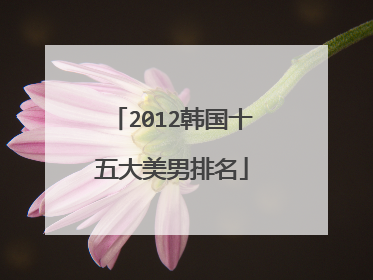 2012韩国十五大美男排名