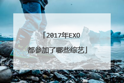 2017年EXO都参加了哪些综艺