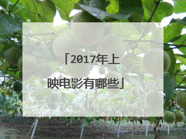 2017年上映电影有哪些