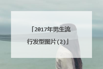 2017年男生流行发型图片(2)