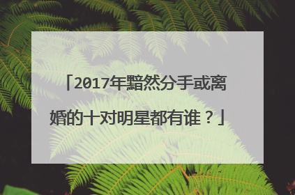 2017年黯然分手或离婚的十对明星都有谁？