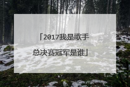 2017我是歌手总决赛冠军是谁