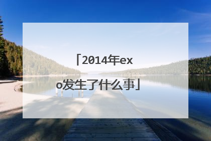 2014年exo发生了什么事