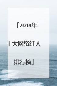 2014年十大网络红人排行榜