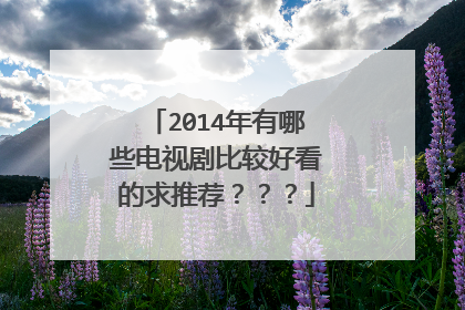 2014年有哪些电视剧比较好看的求推荐？？？