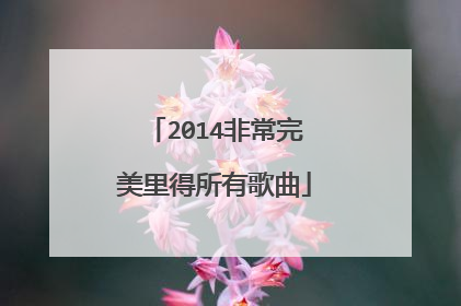 2014非常完美里得所有歌曲