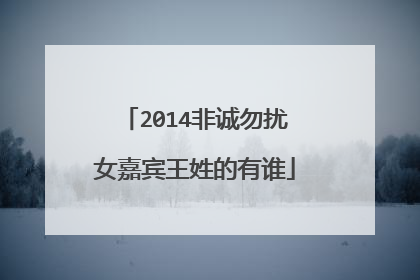 2014非诚勿扰女嘉宾王姓的有谁