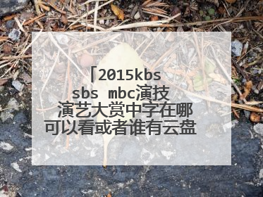 2015kbs sbs mbc演技 演艺大赏中字在哪可以看或者谁有云盘可以发一下的嘛