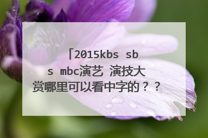 2015kbs sbs mbc演艺 演技大赏哪里可以看中字的？？？或者谁有网盘可以发下的(๑• .