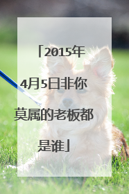 2015年4月5曰非你莫属的老板都是谁