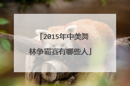 2015年中美舞林争霸赛有哪些人