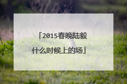2015春晚陆毅什么时候上的场