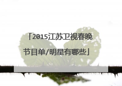 2015江苏卫视春晚节目单/明星有哪些