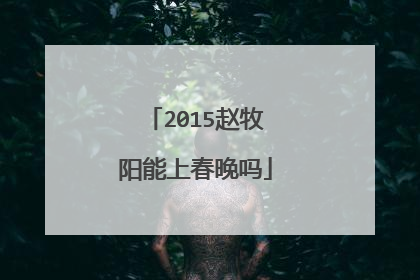2015赵牧阳能上春晚吗