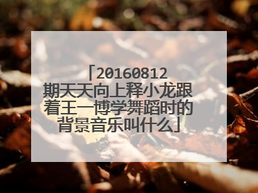 20160812期天天向上释小龙跟着王一博学舞蹈时的背景音乐叫什么