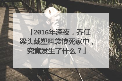 2016年深夜,乔任梁头戴塑料袋惨死家中,究竟发生了什么?