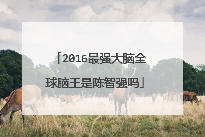 2016最强大脑全球脑王是陈智强吗