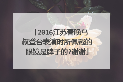 2016江苏春晚鸟叔登台表演时所佩戴的眼镜是牌子的?谢谢