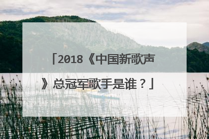 2018《中国新歌声》总冠军歌手是谁?