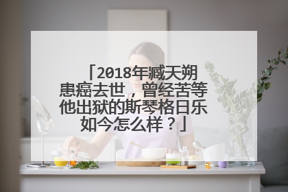 2018年臧天朔患癌去世，曾经苦等他出狱的斯琴格日乐如今怎么样？