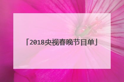 2018央视春晚节目单