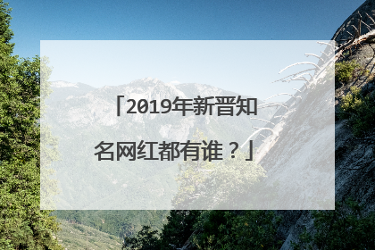 2019年新晋知名网红都有谁?