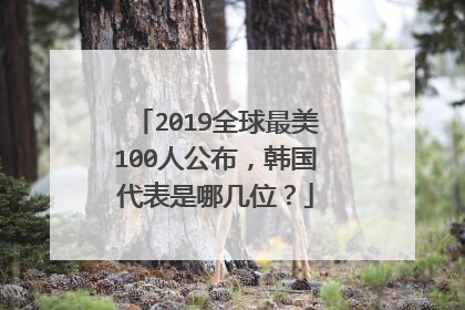 2019全球最美100人公布，韩国代表是哪几位？