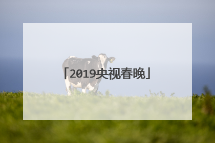 2019央视春晚